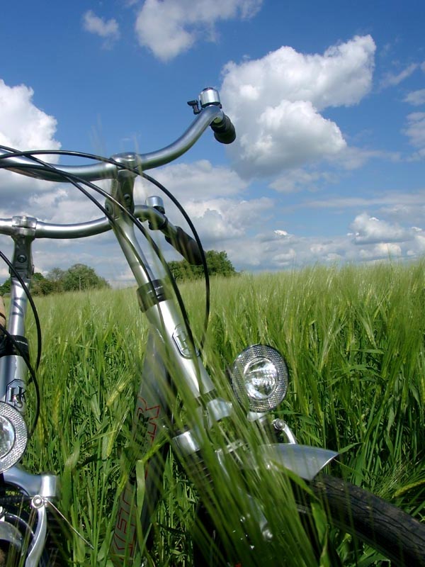 Killikus&reg; Fotographie